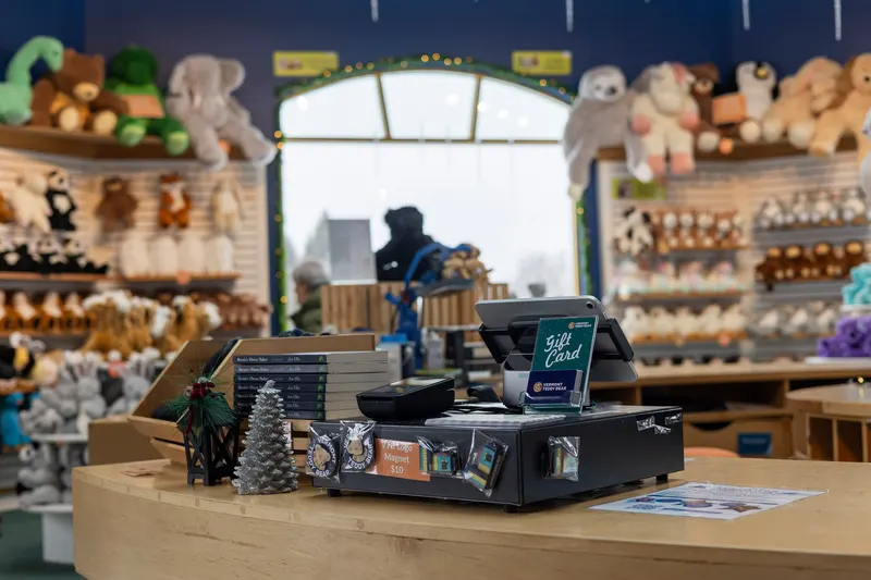 Retail checkout counter in an independent store